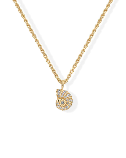 14K Yellow Gold Plated Dainty Boho Beachy Summer Conch Seashell Pendant Necklace for Women | Knit Tightened Rope Chain Necklace